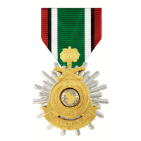 custom design dual tone military award medallion with ribbon drape