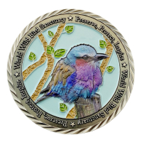 manufacturer custom UV printed full color 3D challenge coin