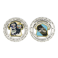 wholesale custom metal craft fighter military coins