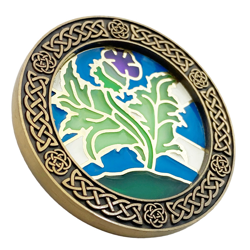 Custom Translucent Enamel Souvenir Coin