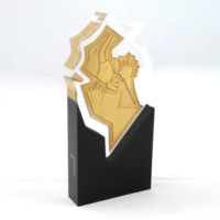 custom metal logo embedded trophy