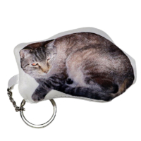 custom full color printed pet cat keychain