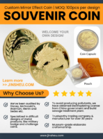 wholesale customized mirror finished dragoon souvenir coins