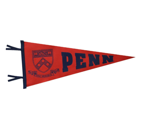 promotional logo printed triangle pennant