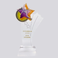 custom shaped acrylic award trophy with logo