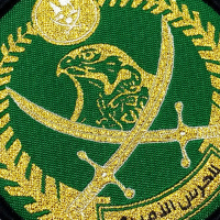 woven patch with metallic gold thread embroidery effect