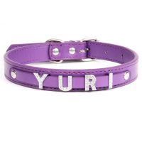 custom shiny slide letters charm for dog collar