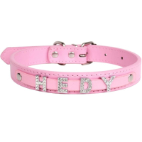 custom metal leather dog collar with rhinestone slide-on letters
