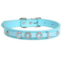 personalized leather dog collar with rhinestone letters