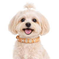 Personalized name pet letter collars wholesale