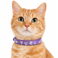 customized leather cat collars with slide letter name