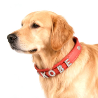 custom metal dog charms name pet collars