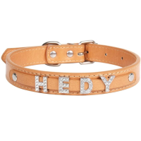 custom name slide on letter dog collars