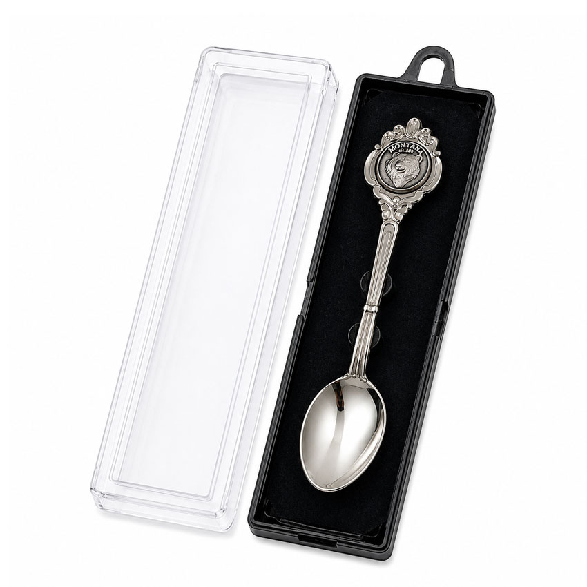 Collectible souvenir spoon in clear plastic display box packaging with black insert for retail display and commemorative merchandise