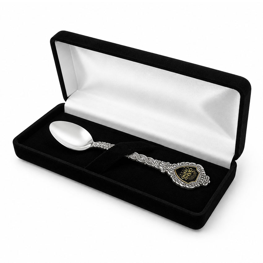 Custom souvenir spoon presented in premium black velvet gift box for commemorative gifts and luxury souvenir collections