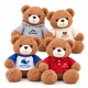 Custom logo teddy bears in different branded clothing styles for wholesale promotional gifts